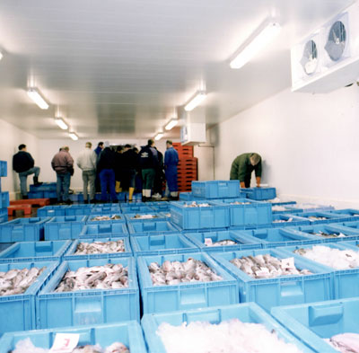 Eyemouth Fish Markets