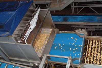 Bartlets 18 (640x428)